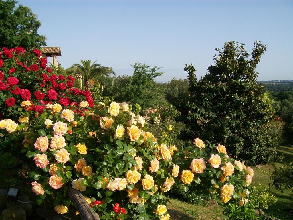 Antica Pietrara B&B Formello Εξωτερικό φωτογραφία